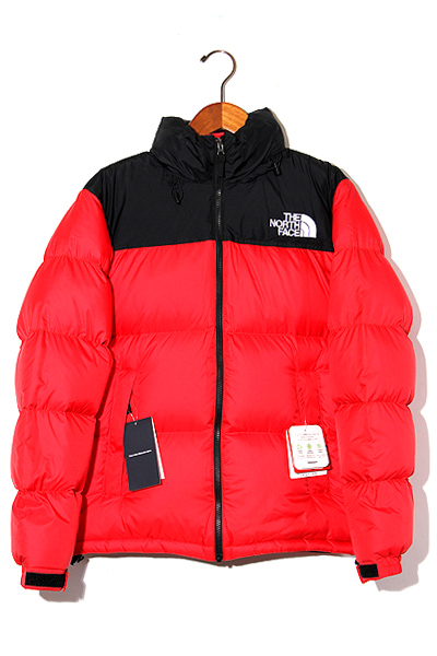the north face nd91841