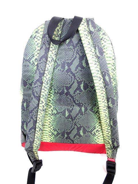 シュプリーム SUPREME Supreme The North Face Snakeskin Lightweight 