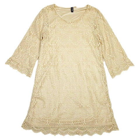 エイチ エム H M 総レース ワンピース チュニック 長袖 ショート丈 スカラップ カットソー 36 ベージュ 17 レディース 012 ベクトルパーク エイチ エム H M 総レース ワンピース チュニック 長袖 ショート丈 スカラップ カットソー 36 ベージュ 17 レディース 012 ベクトルパーク