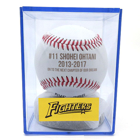 未使用品 日本ハムファイターズ 大谷翔平 夢への道しるべ 2013-2017 