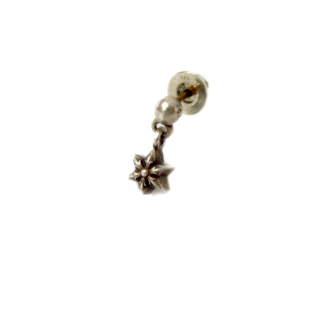 クロムハーツ Chrome Hearts Tny Str Drp タイニースタードロップ ピアス 星 シルバー ゴールド コンビ 925 K14 ビンテージシルバー メンズ