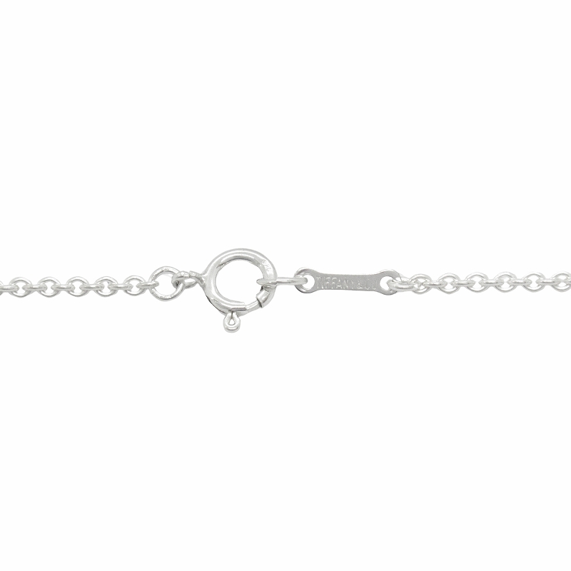 【極美品】Tiffany ティファニー ネックレス りんご アップル SV925 美品✨ティファニーアップルネックレスりんごシルバー925
