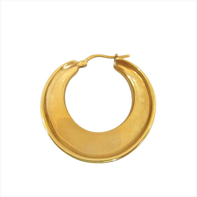 セリーヌ CELINE チャンキーフープ ピアス アクセサリー