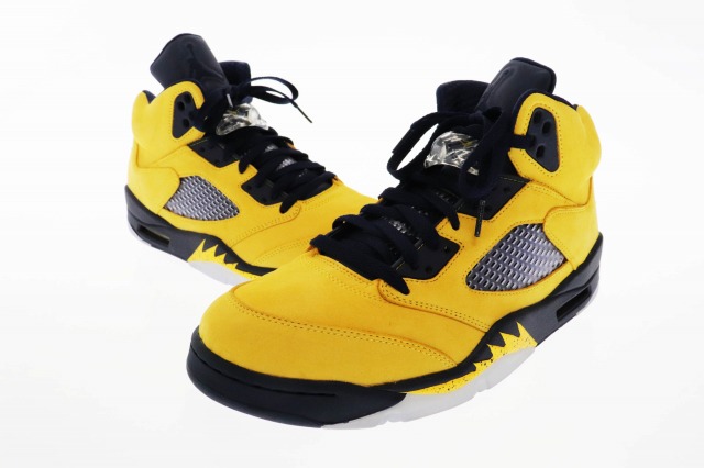 michigan retro 5
