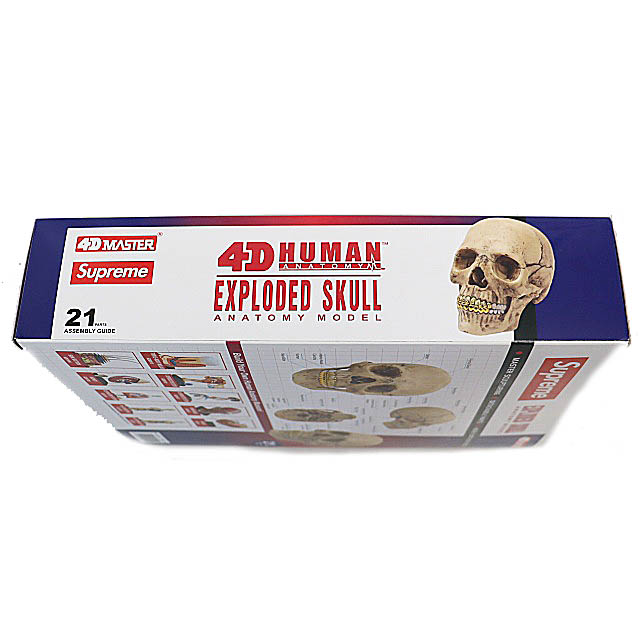 シュプリーム SUPREME 23AW 4D MASTER 4D HUMAN ANATOMY MODEL