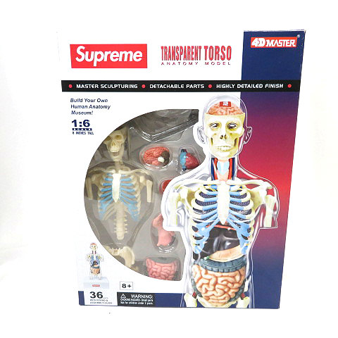 シュプリーム SUPREME ☆AA☆18AW Male Anatomy Model Torso 人体模型 