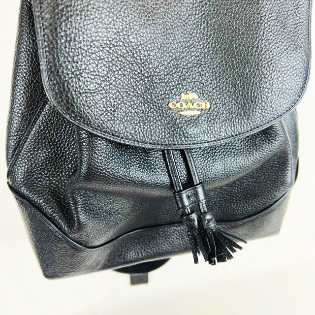 コーチ COACH レザー リュック バックパック かばん F72645 黒 