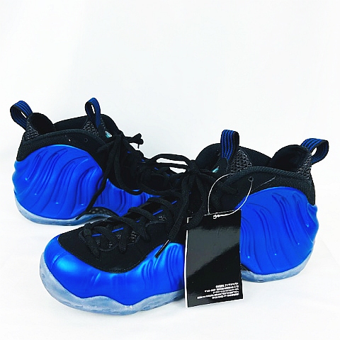 ナイキ NIKE ☆AA☆ Air Foamposite One Royal Blue XX 20TH