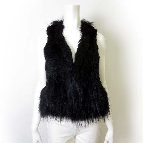 ダイアグラム グレースコンチネンタル Diagram Grace Continental ベスト ジャケット ノースリーブ トッパー 毛皮 ラビット ラクーン ファー Aライン S 36 黒 ブラック レディース 068 ベクトルパーク
