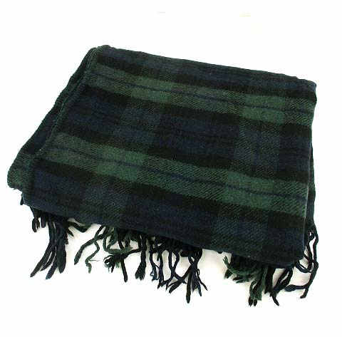 ラルフローレン Ralph Lauren ブランケット ひざ掛け ストール 大判 フリンジ チェック ワンポイント ネイビー グリーン 紺 緑 レディース 069 ベクトルパーク
