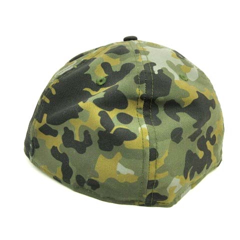 ザノースフェイス THE NORTH FACE NEWERA 帽子 ハーフドームロゴ