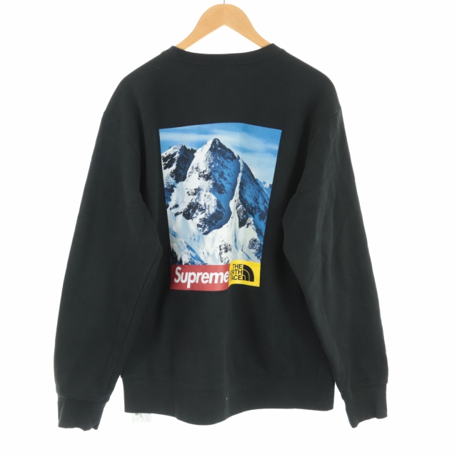 シュプリーム SUPREME ノースフェイス THE NORTH FACE 17AW Mountain  