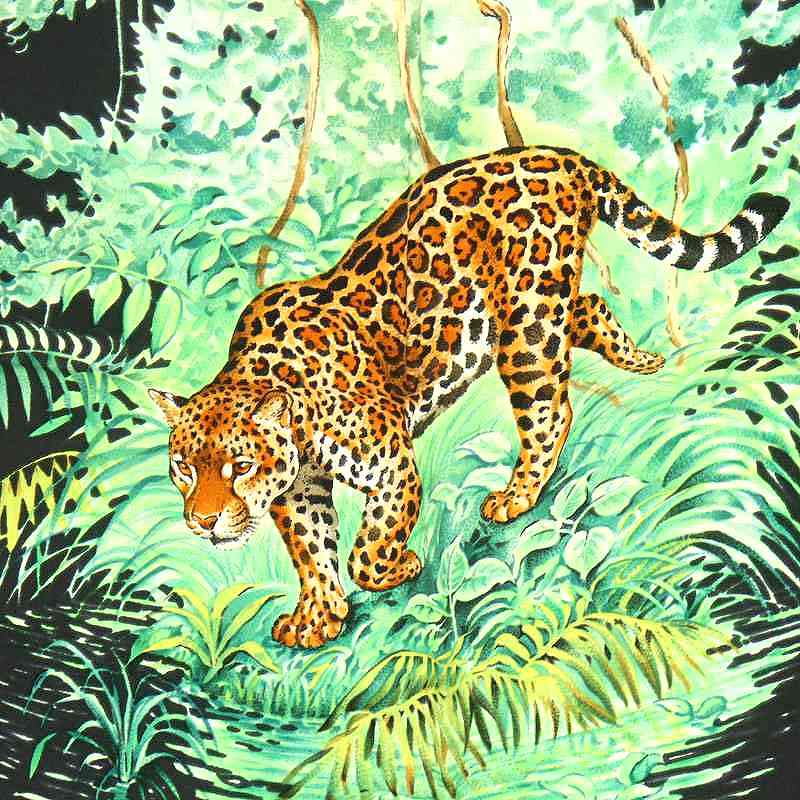 エルメス HERMES カレ90 EQUATEUR 赤道直下 スカーフ アニマル シルク  