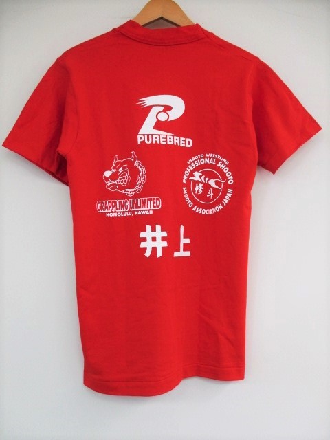 タグ付き 新品 Tシャツ 新品・紙タグ付】ENFOLDのPIN-TUCK T-SHIRT/Bl