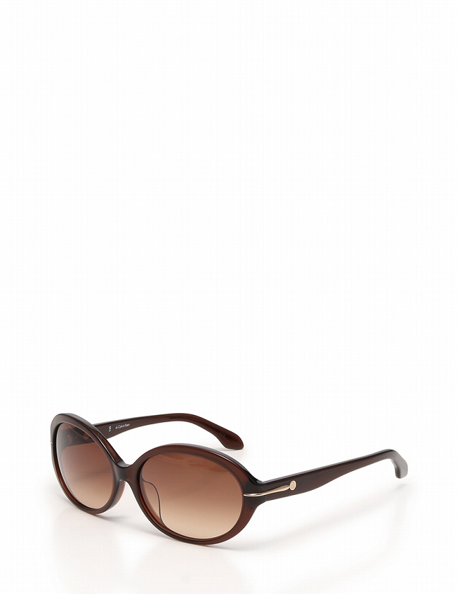 カルバンクライン サングラス ユニセックス ブラウン