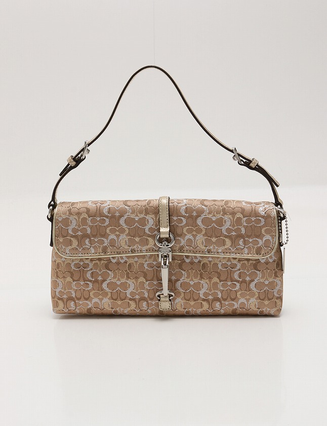 コーチ COACH ハンドバッグ アクセサリーポーチ ミニシグネチャー 