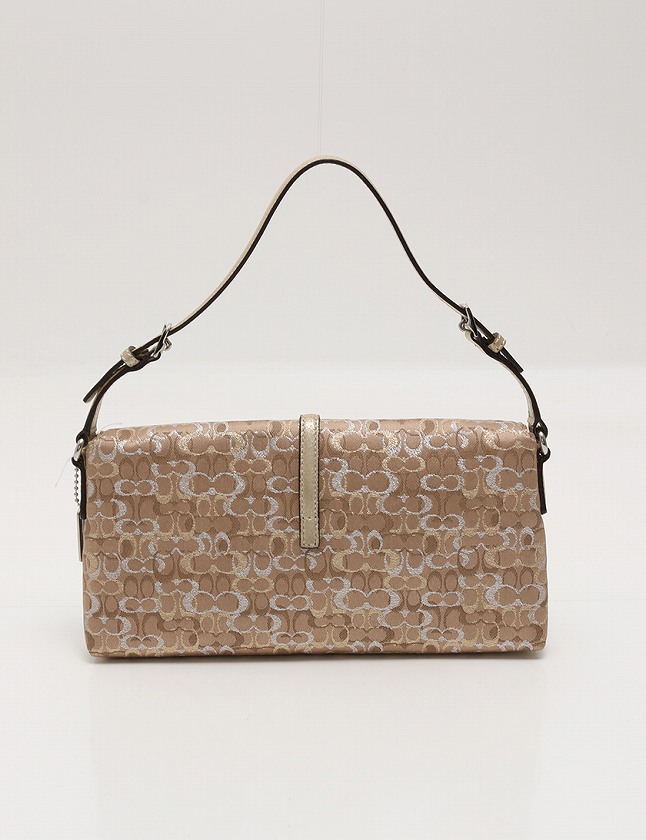 コーチ COACH ハンドバッグ アクセサリーポーチ ミニシグネチャー  