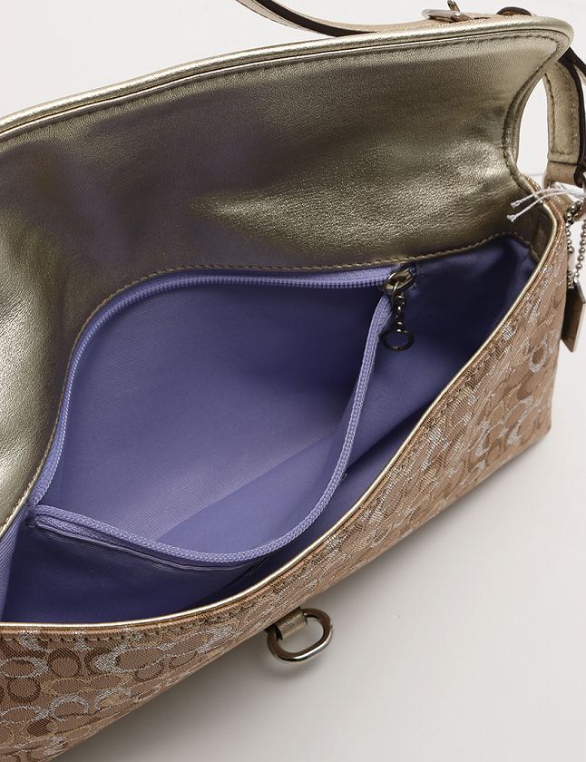 コーチ COACH ハンドバッグ アクセサリーポーチ ミニシグネチャー 