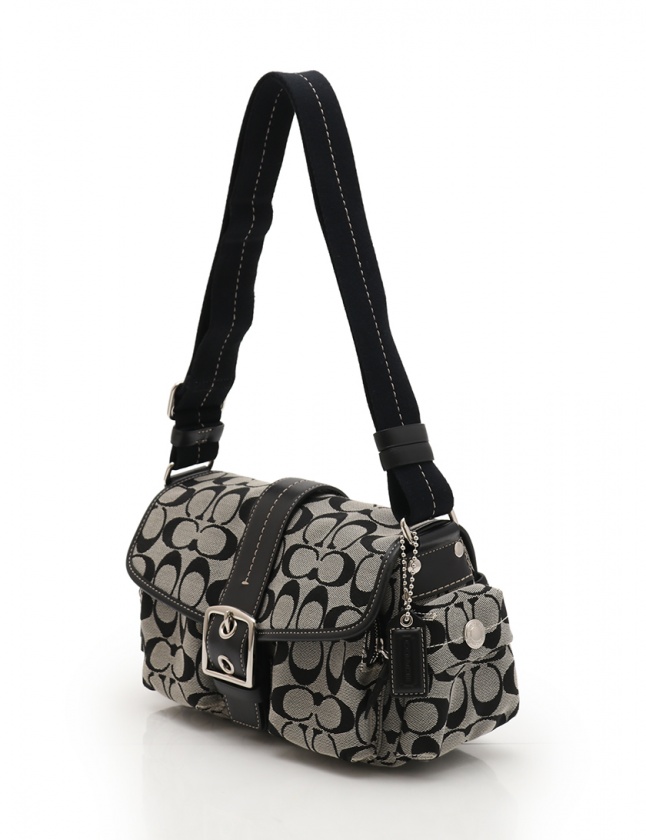 コーチ COACH ショルダーバッグ シグネチャー スモールポケット 