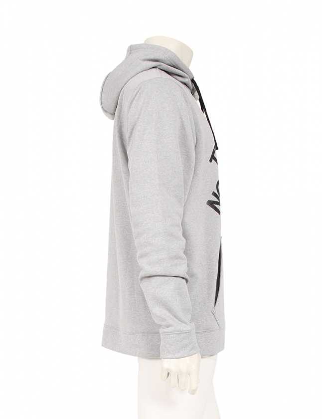 ザノースフェイス The North Face パーカー グレー L トップス 長袖 プリント メンズ 114 ベクトルパーク