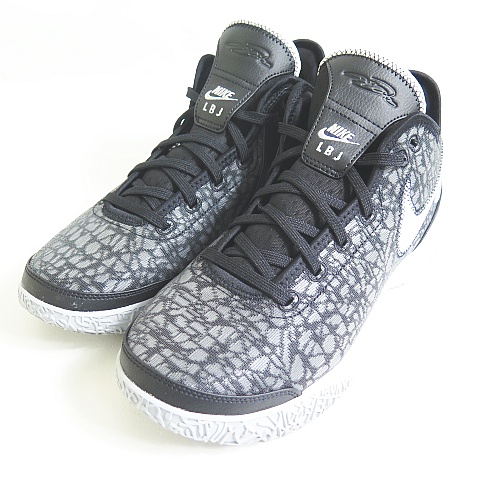 ナイキ NIKE 美品 LEBRON NXXT GEN EP ズーム レブロン ネクスト