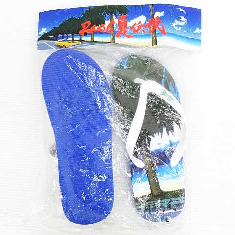 未使用品 湘南乃風 06 夏伝説 ツアーグッズ サンダル ビーチサンダル 青 白 L メンズ 151 ベクトルパーク 未使用品 湘南乃風 06 夏伝説 ツアーグッズ サンダル ビーチサンダル 青 白 L メンズ 151 ベクトルパーク