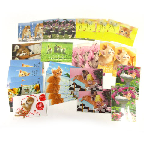 未使用品 ポストカード 224枚 ご当地フィルムカード 動物 猫 犬 ポエム 景色 花 155 ベクトルパーク