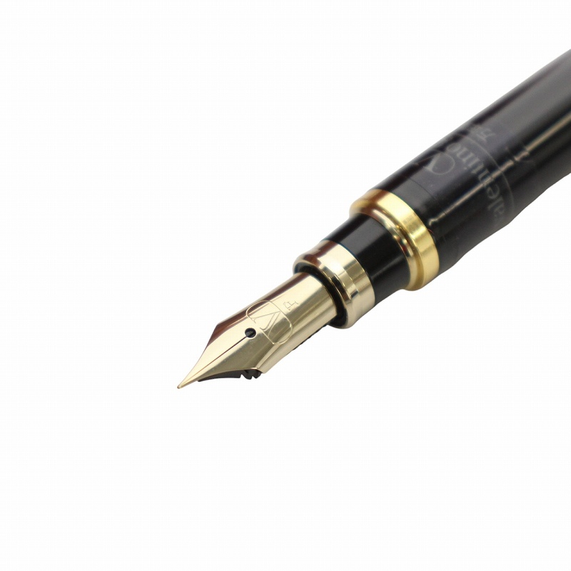 ヴァレンティノ ガラヴァーニ VALENTINO GARAVANI 万年筆 文房具 筆記