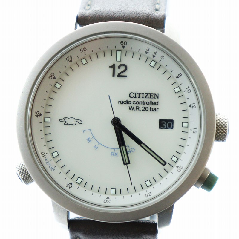 シチズン CITIZEN グルーヴィジョンズ コラボ リアルケースモデル 