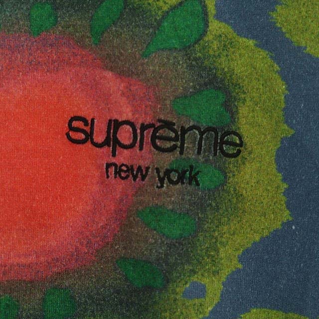 シュプリーム SUPREME Painted Flowers L/S Tee Tシャツ カットソー 