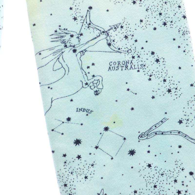 ジエルダーステイツマン The Elder Statesman TES244 星座柄ジップ 