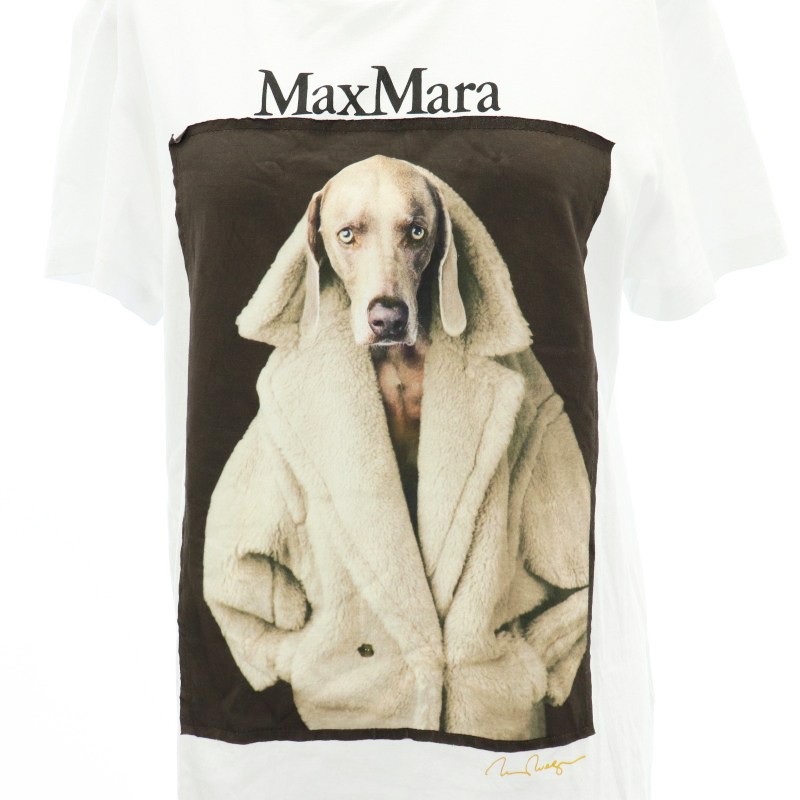 マックスマーラ MAX MARA 23年製 VALIDO ウェグマンプリント Tシャツ 