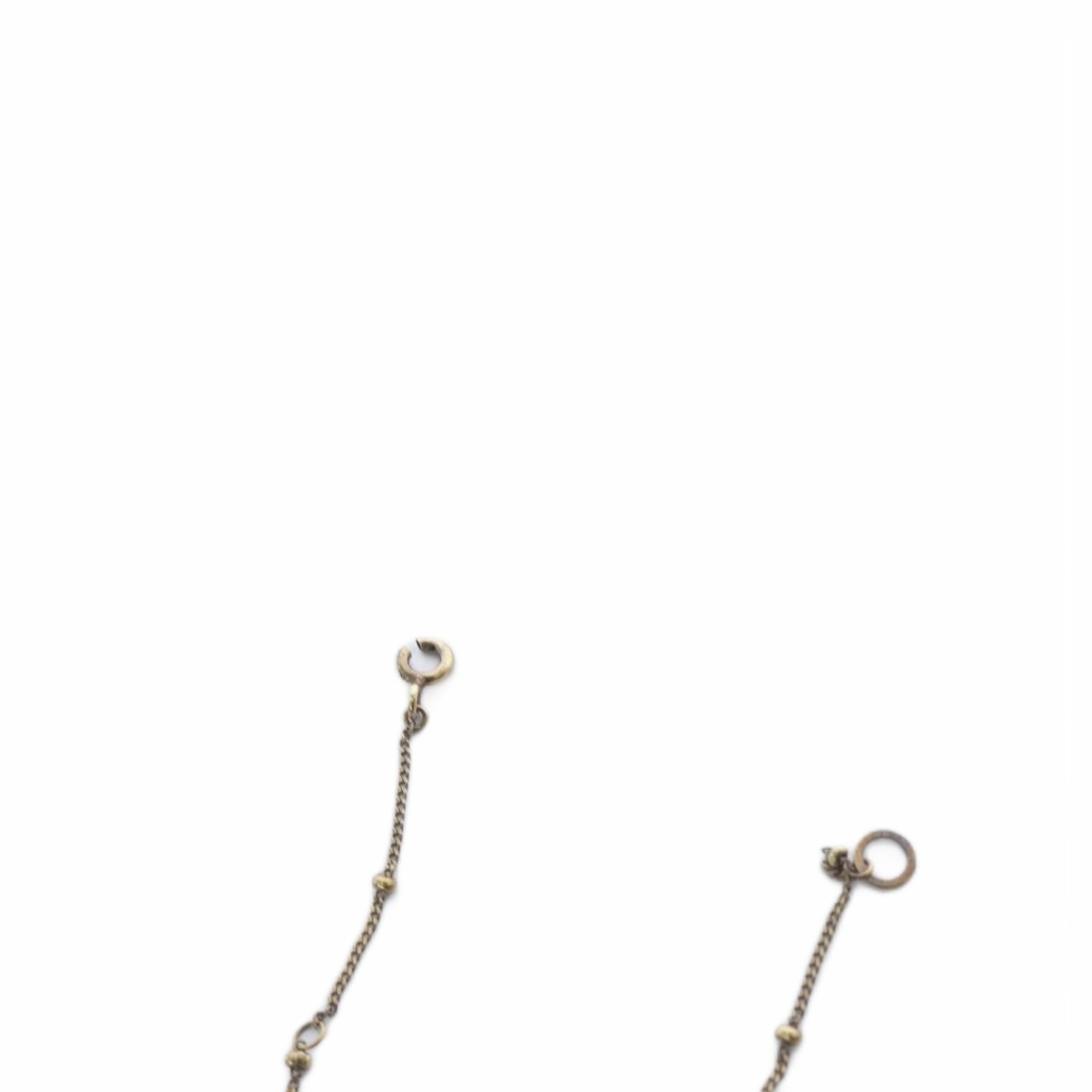 マリハ MARIHA コインネックレスチャーム小 SV925 ゴールド色 /SR レディース 170-402509100061 | ベクトルパーク