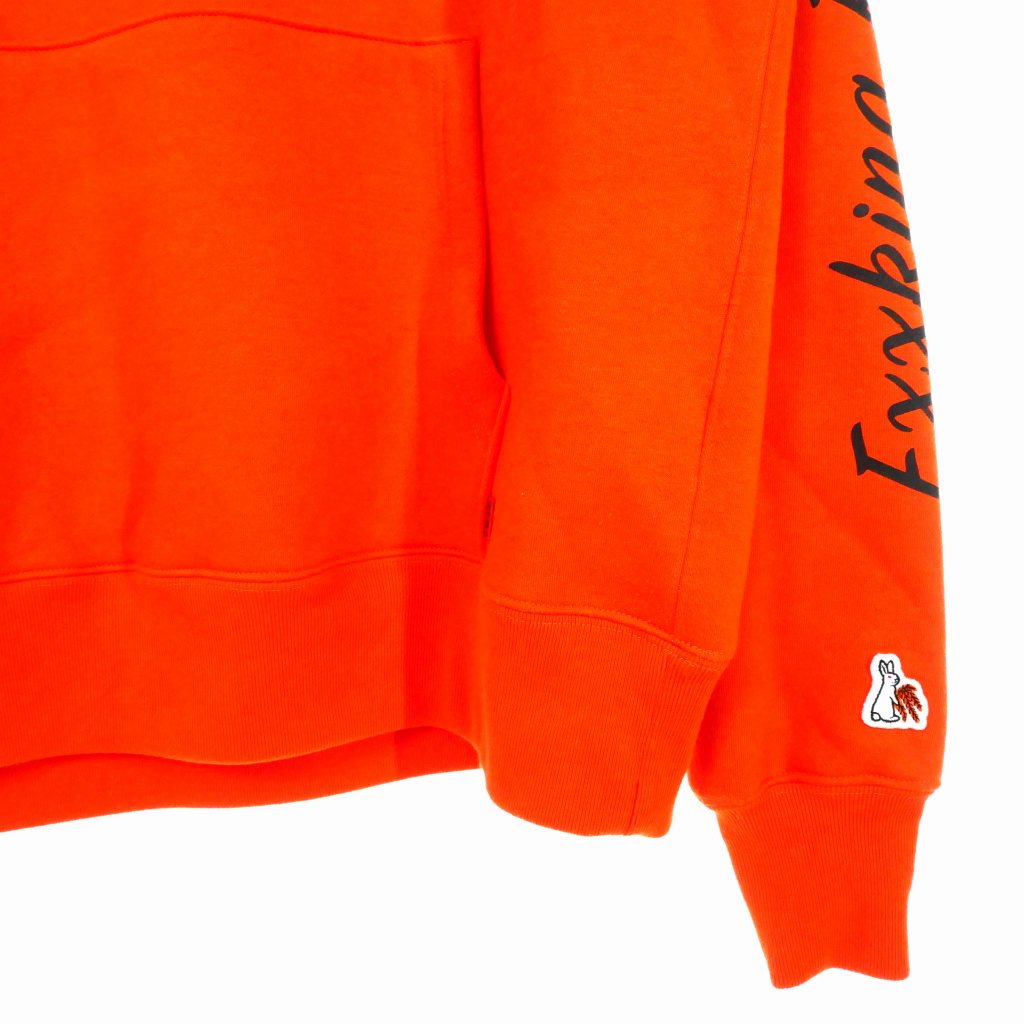 エフアールツー FR2 柳 Hanafuda Logo Hoodie 花札ロゴ フーディ 