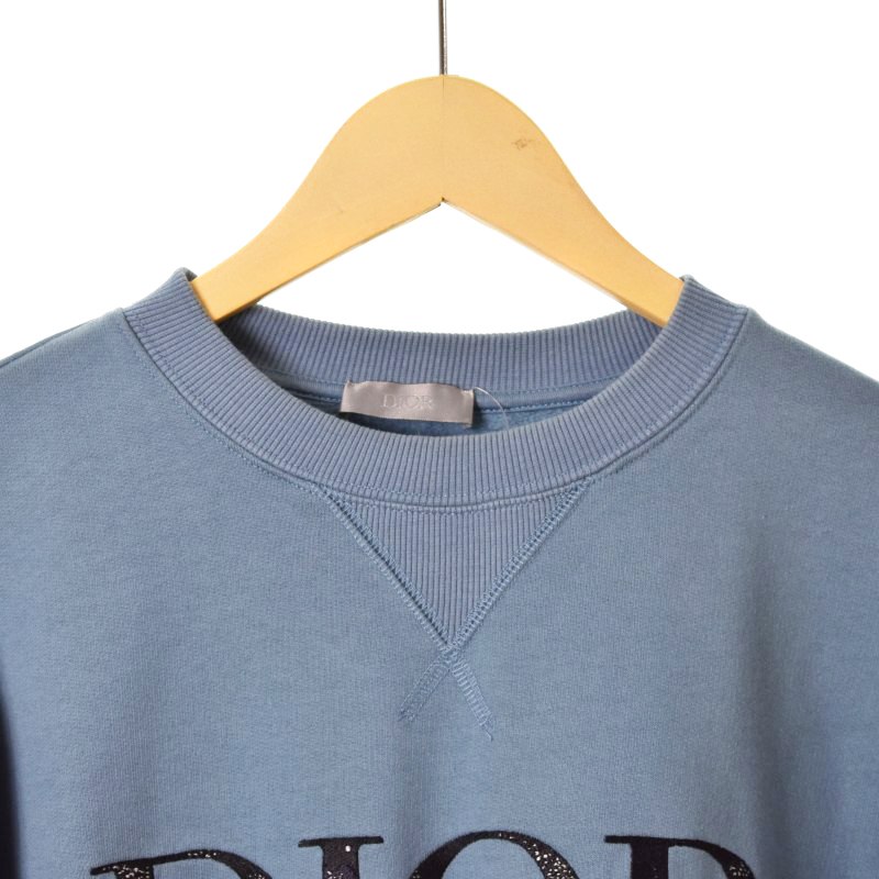 ディオールオム Dior HOMME 21AW ピータードイグ PETER DOIG コラボ 