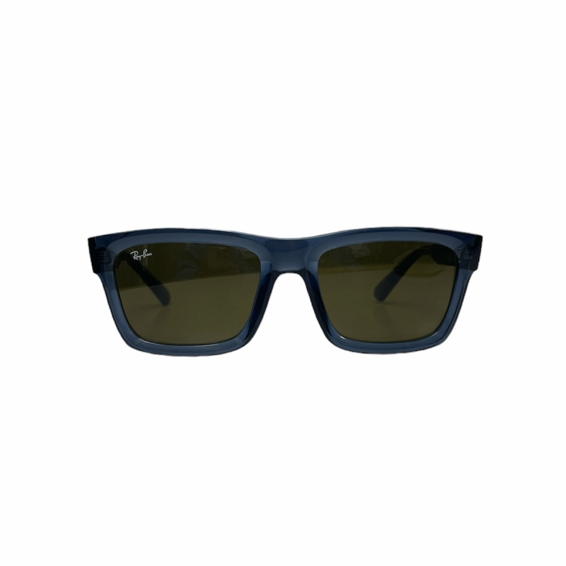 レイバン RAY BAN WARREN BIO-BASED サングラス 青 ブルー RB4396F 213