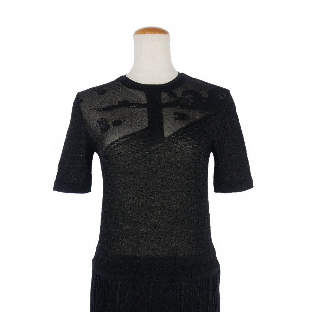 マメクロゴウチ Mame Kurogouchi 24SS Landscape Graphic Sheer