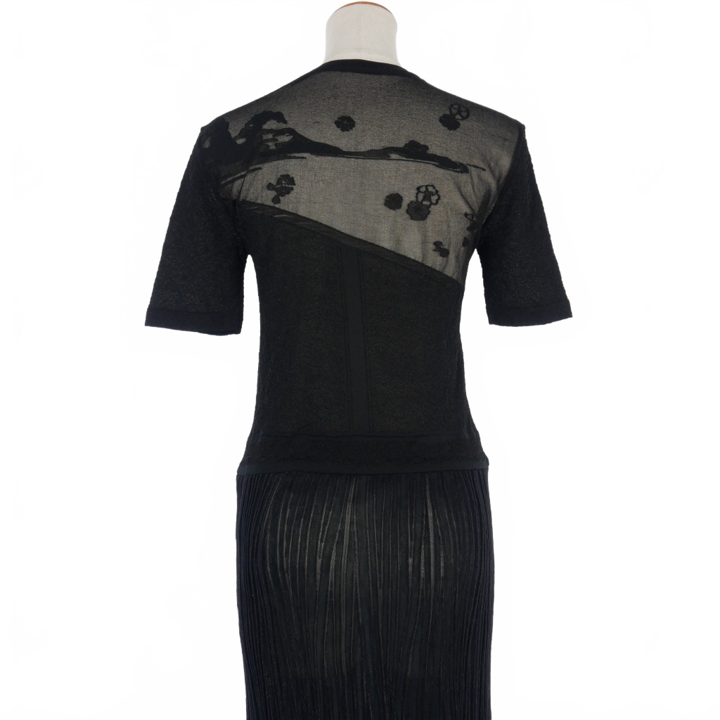 マメクロゴウチ Mame Kurogouchi 24SS Landscape Graphic Sheer