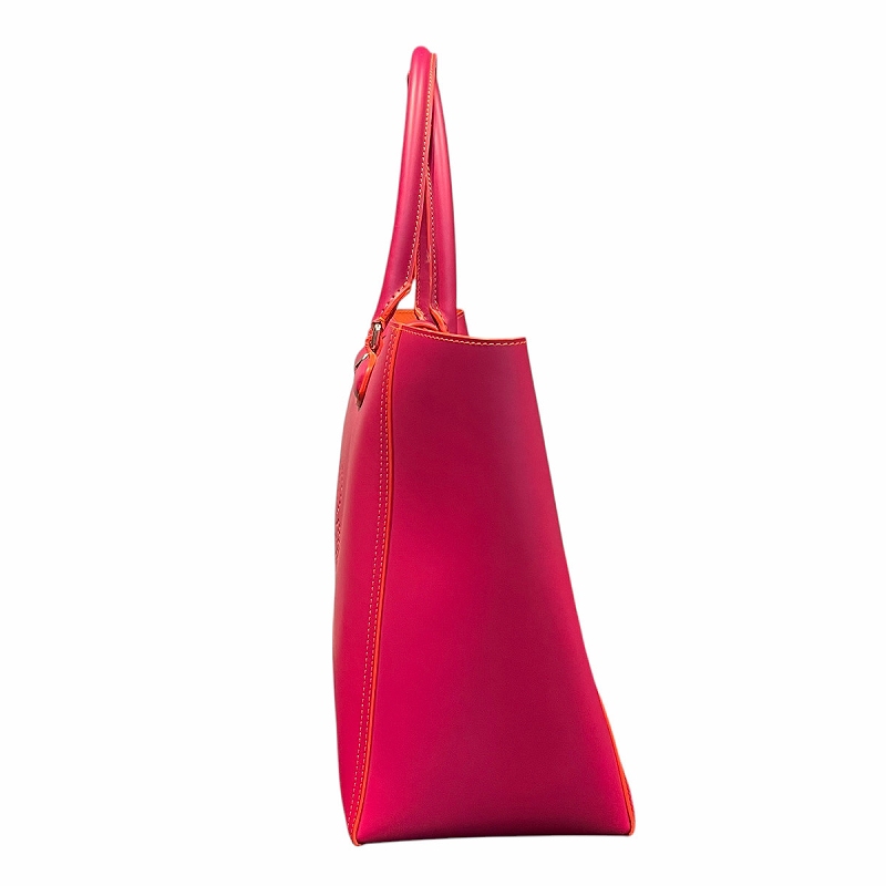 LOEWE - 【良品】ロエベ レオアナグラム トートバッグ スエード