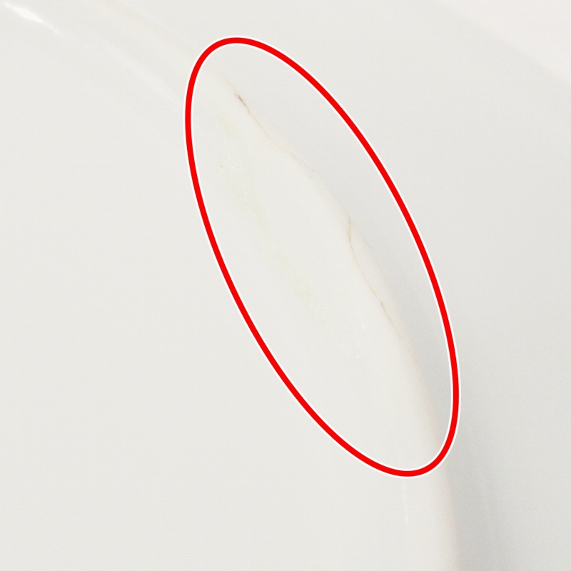 エルメス HERMES JARDIN des ORCHIDEES オーキッドの花 8 プレート 中